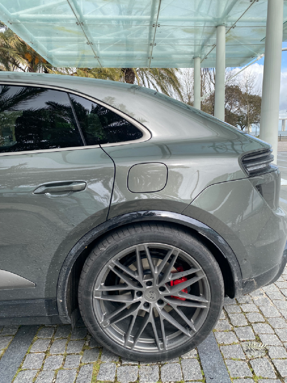 Electric Macan EV Turbonite on exterior side blades - gloss or matte? IMG_1628