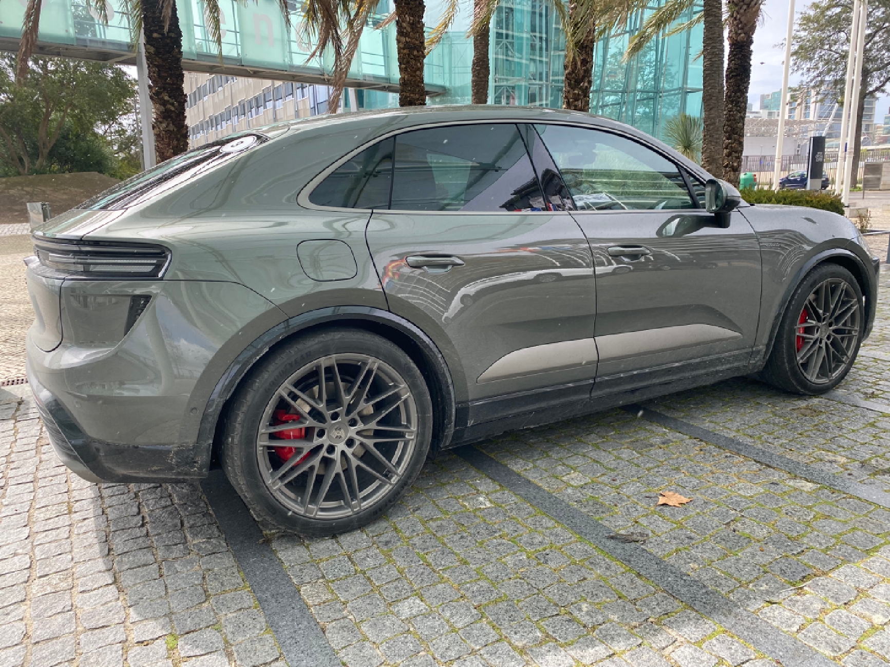 Electric Macan EV Turbonite on exterior side blades - gloss or matte? IMG_1629